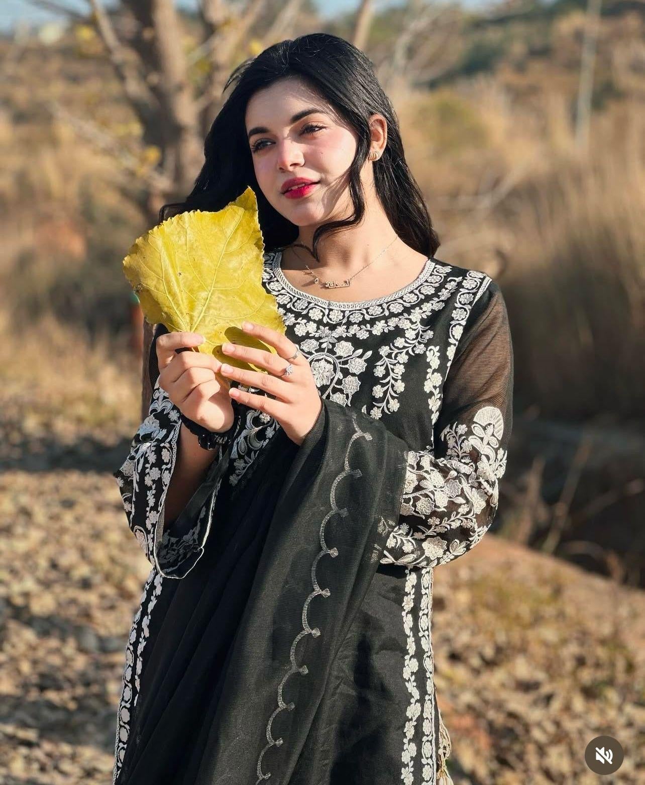 Luxury Embroidered Lawn 3pc SL-804